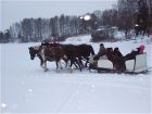 Прогулки на лошадях