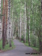 Территория