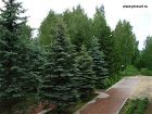 территория